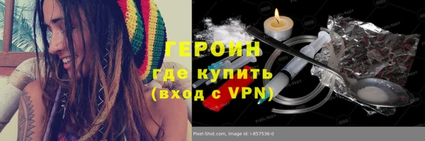 гидра Богородск