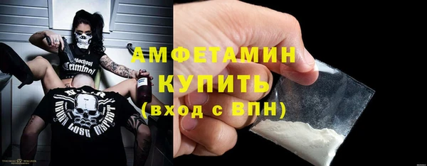гидра Богородск