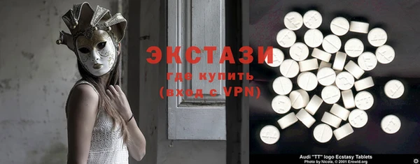 гидра Богородск