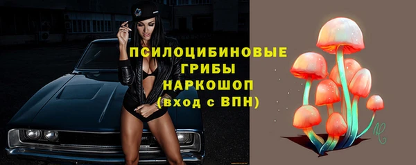 а пвп мука Богданович