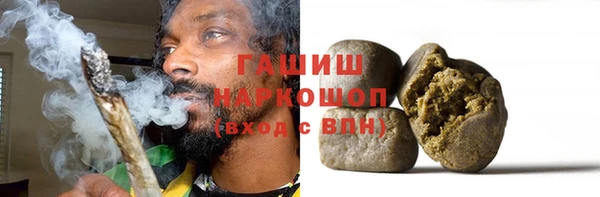 гидра Богородск