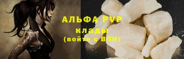 гидра Богородск