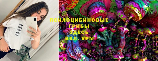трава Богородицк