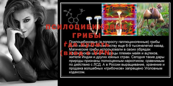 гидра Богородск