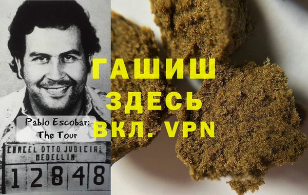 гидра Богородск
