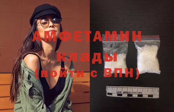 гидра Богородск