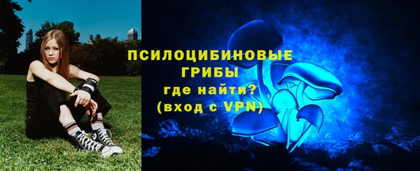 а пвп мука Богданович