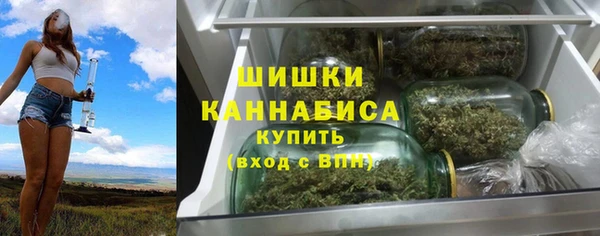 экстази Бородино