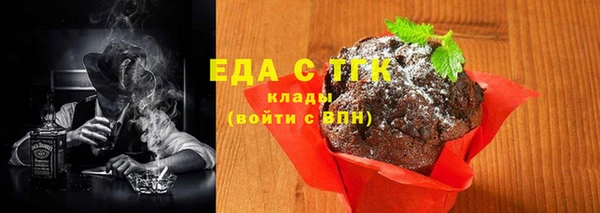 гидра Богородск