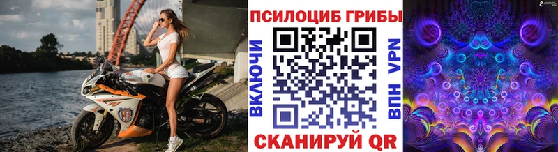 Псилоцибиновые грибы Psilocybe  Купить закладки  Магас 