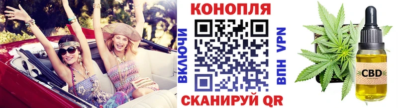 Купить где  Магас  Шишки марихуана Amnesia 